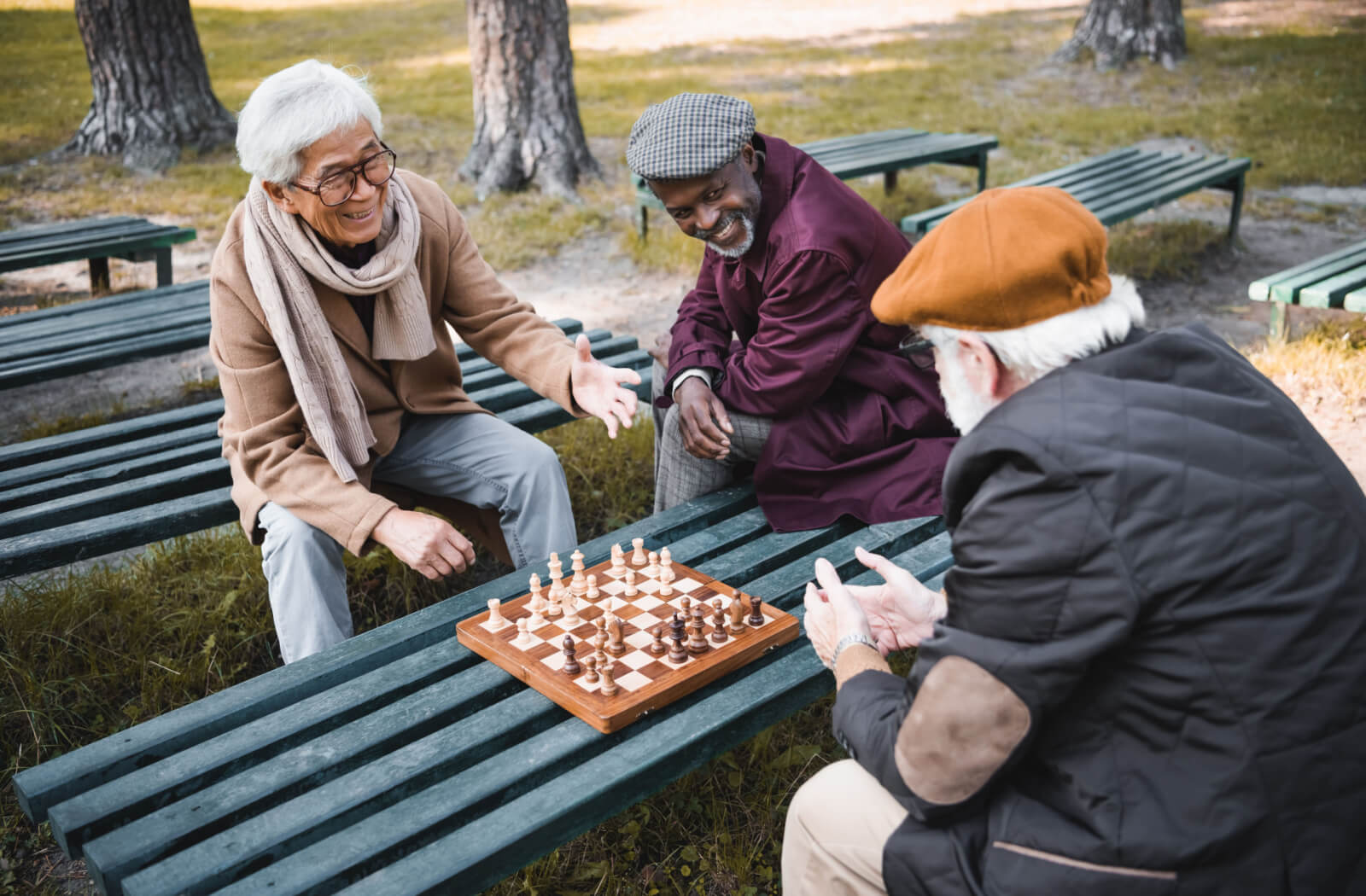 seniors playing chess